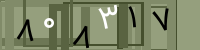 کد تصویری