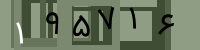 کد تصویری